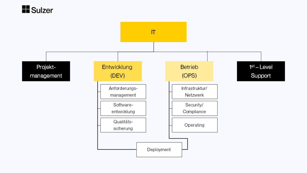 Abbildung 2: Hierarchisch, in Funktionsbereiche untergliederte IT